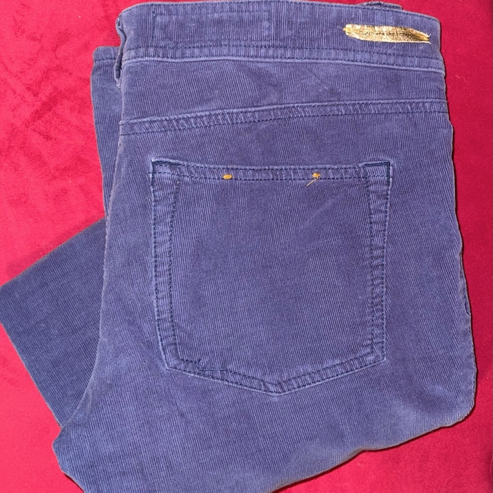 Anthropologie Pilcro and the Letterpress Stretch Corduroys, Size 27/4